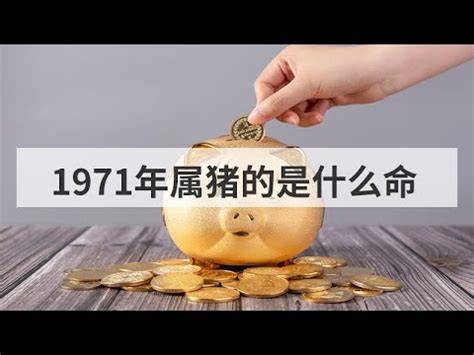 71年次屬什麼